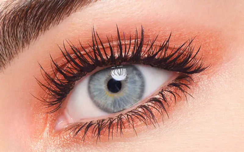 Comment bien appliquer les palettes fards à paupières Volume Glamour ?