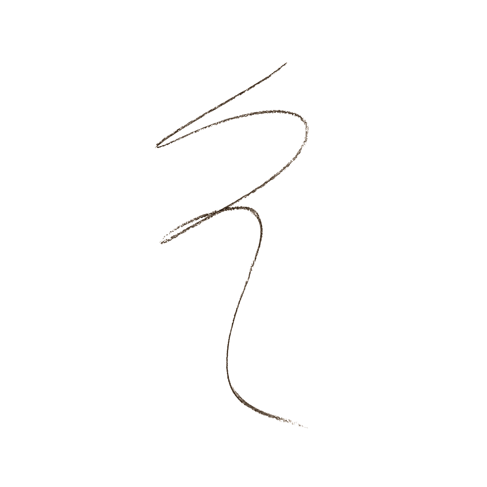 Crayon Sourcils Twist Up Brow Reveal